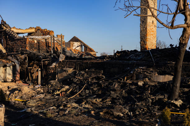 Reliable Fire Damage Restoration contractor in Lakeland, FL by Fire Damage Doption